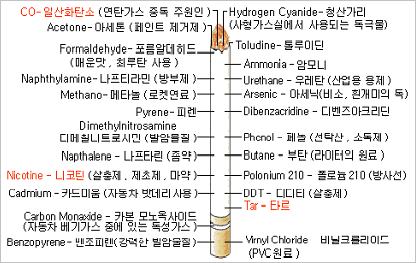 담배해부도